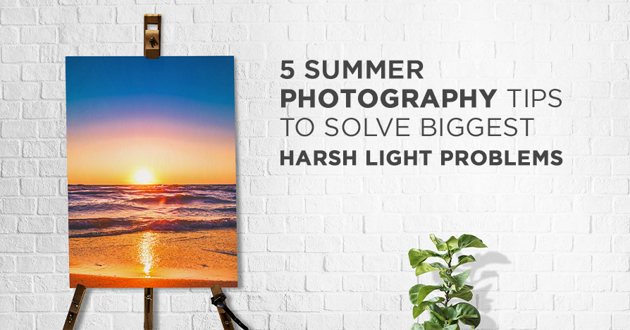 5 Summer Photography Tips to Solve Biggest Harsh Light Problems