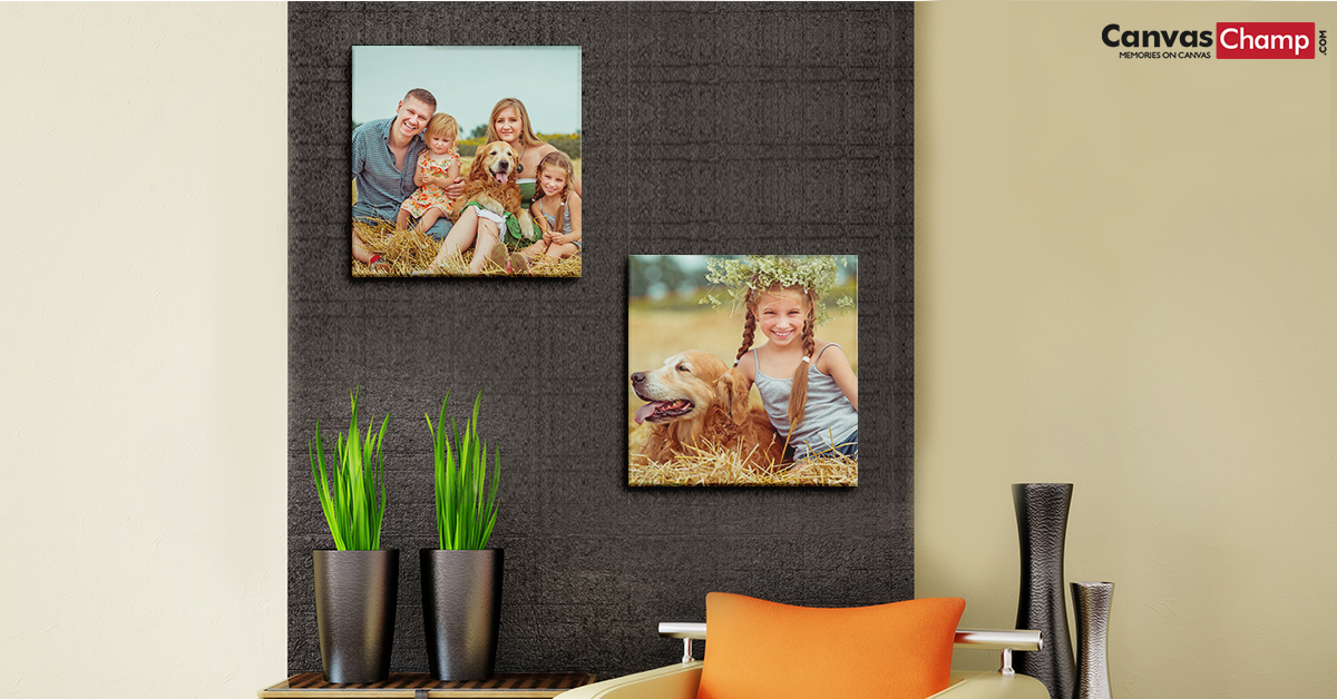 Tips For Snapping The Perfect Pet Picture Tips For Snapping The Perfect Pet Picture