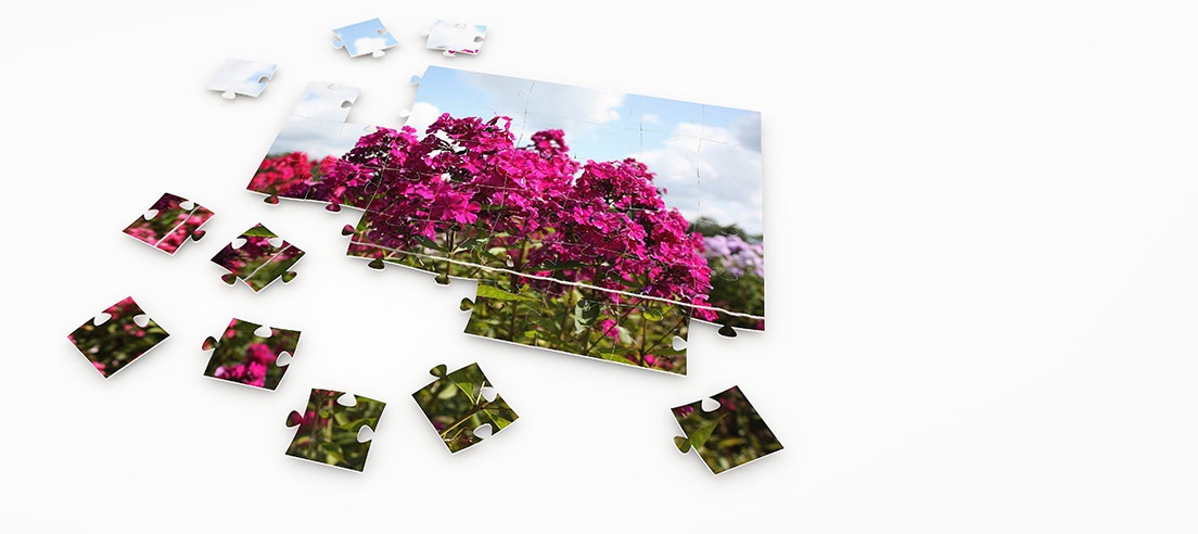 How Can You Make A Photo Into A Puzzle?