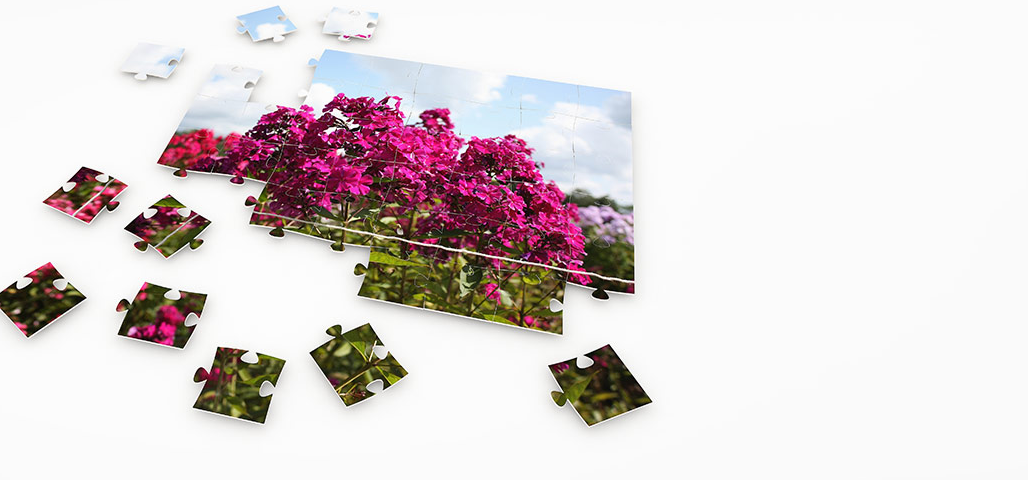 What is Photo Puzzles: Did You Know? What is Photo Puzzles: Did You Know?