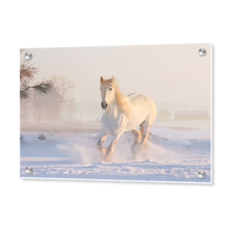 Acrylic Glass Art Prints | Acrylic Printing Photos, Logos, Artwork