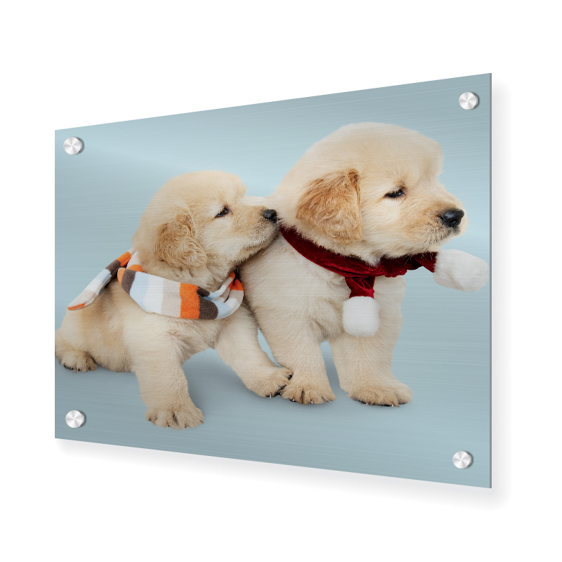 Personalized Metal Pictures
