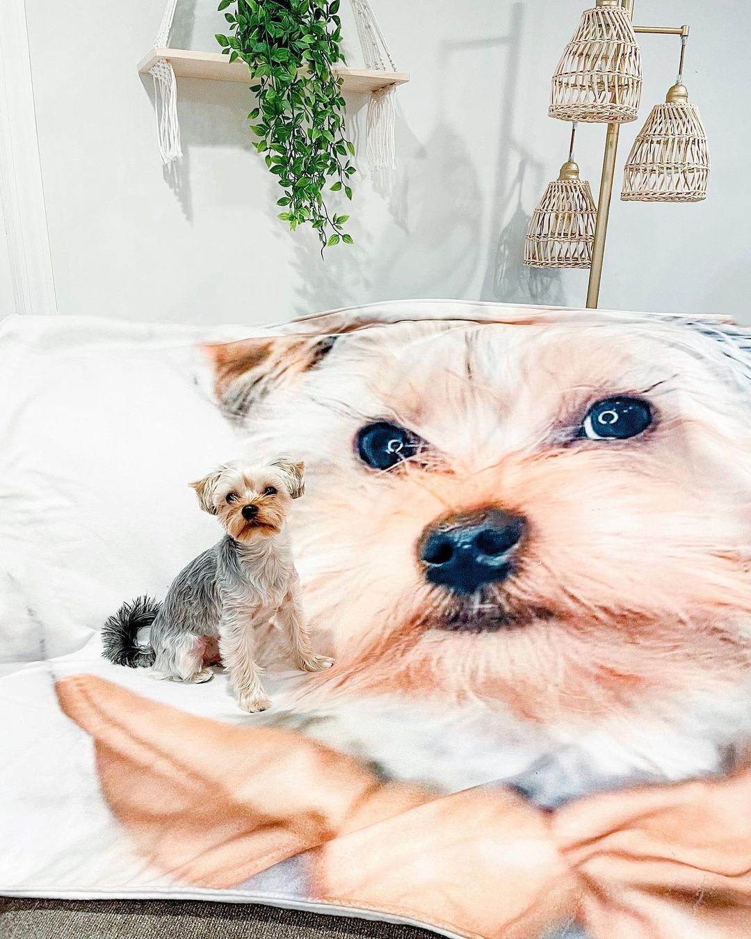 Custom Photo Blankets Personalized Pet Cat Dog Photo Blankets Fleece Throw Blanket