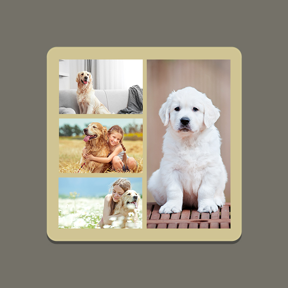 Coasters You Can Put Pictures In