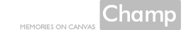 Canvas Champ