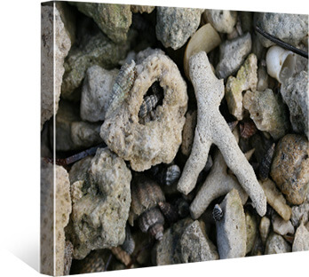 Tracy Lucey made this Great Canvas Tracy Lucey made this Great Canvas