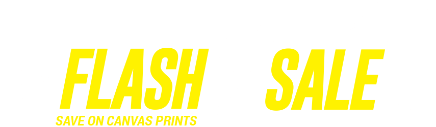 canvas champ 1 flash