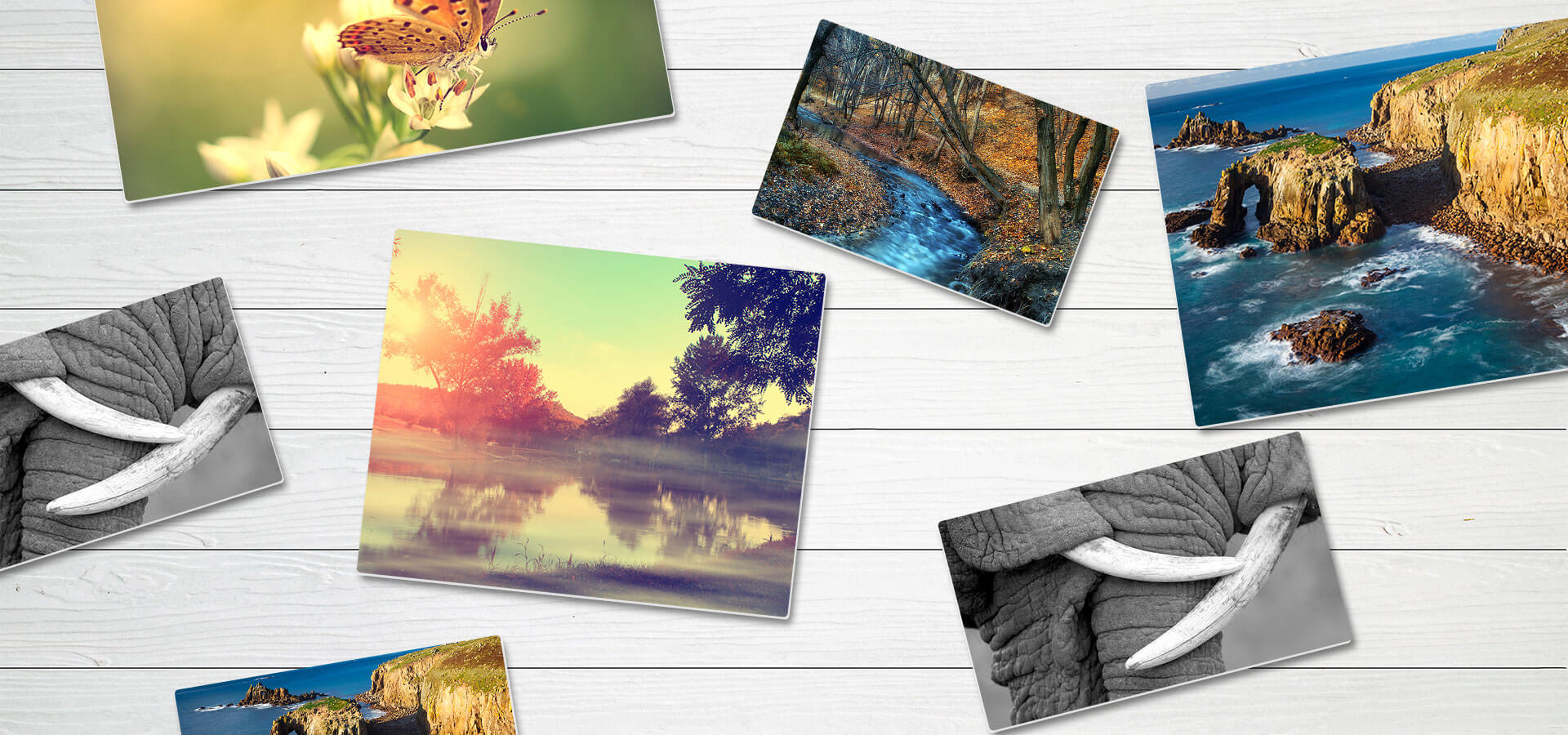 What is a Canvas Print? All You Need to Know