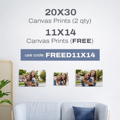 Buy Two Get One Free Canvas Prints Sitewide