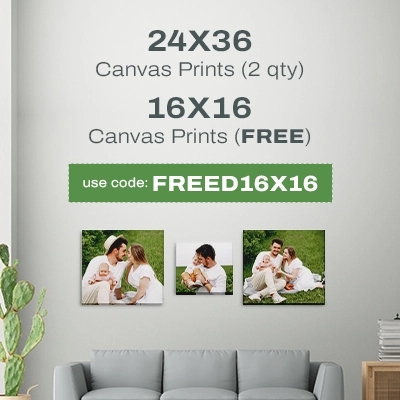 Buy Two Get One Free Canvas Prints Sitewide