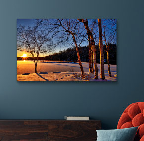 Canvas Prints