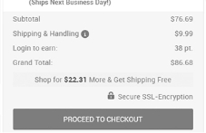 Make Payment and Checkout