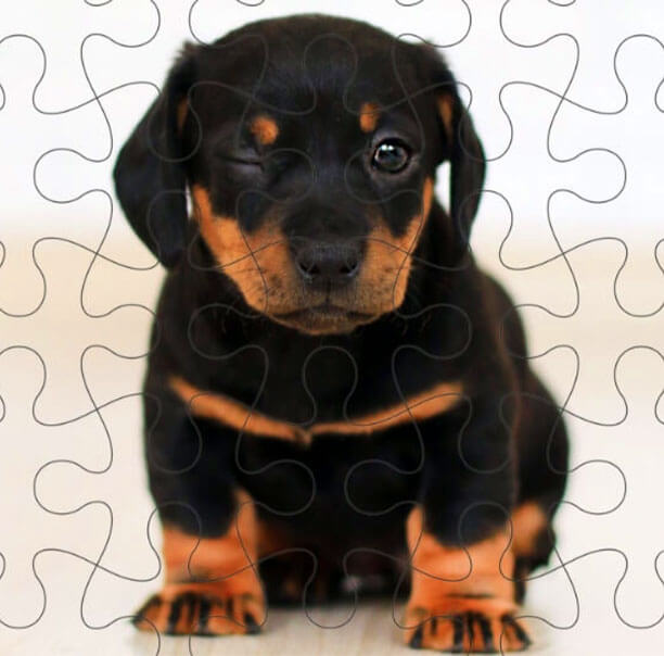 Upload Your Own Design Pet Photo Puzzle