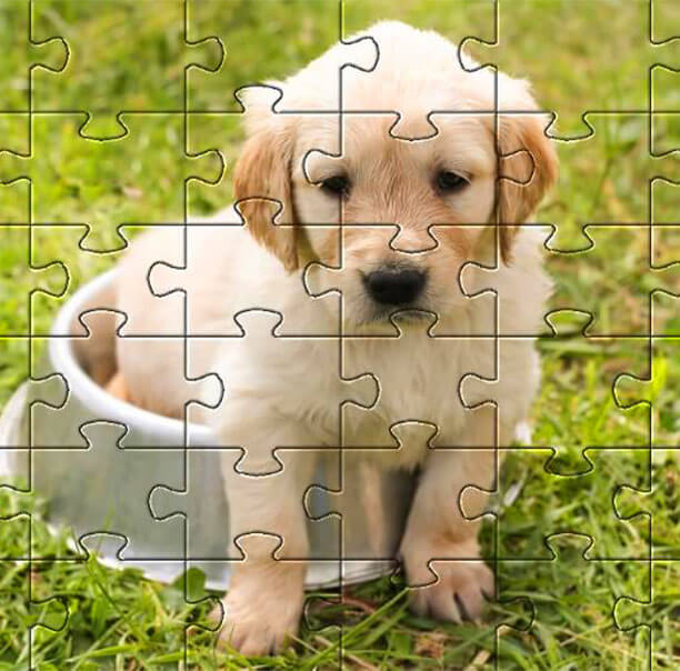 Custom Piece Personalized Jigsaw Pet Photo Puzzles