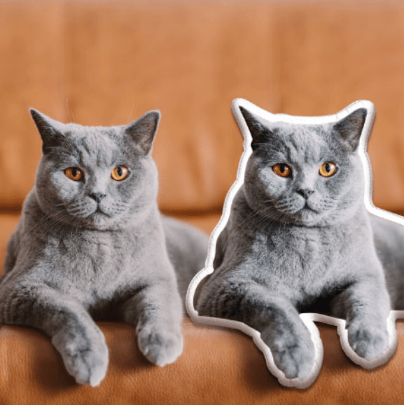 Pet Shaped Pillows: Cozy and Easy-to-Clean Pet Shaped Pillows: Cozy and Easy-to-Clean