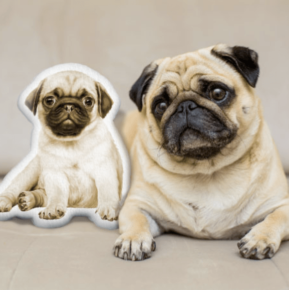 Snuggle Up with a Custom Pet Shaped Pillow