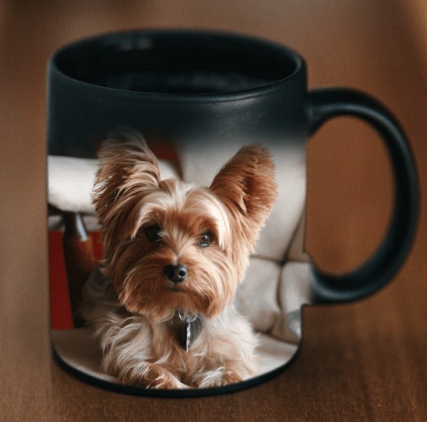 Custom Pet Magic Mug