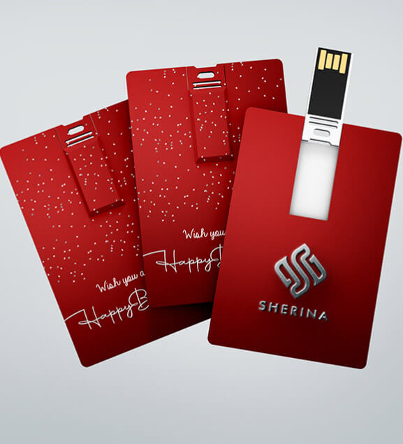 Custom Pen Drives for Home and Business
