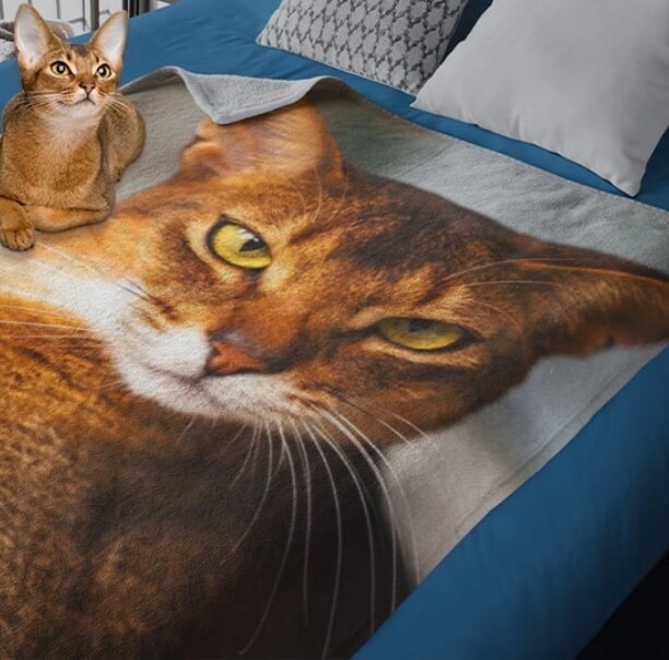 Custom Pet Photo Blankets