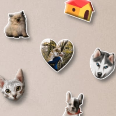Custom Pet Photo Magnet - Metal Photo Magnets
