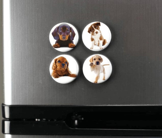 Custom Pet Photo Magnet - Acrylic Photo Magnets
