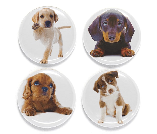 Custom Pet Photo Magnet