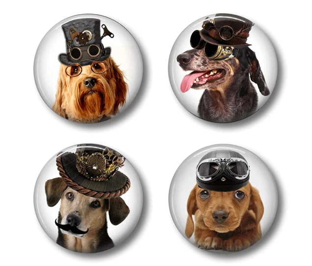 Personalized Pet Photo Magnet
