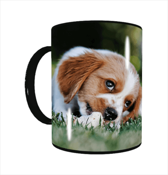 Design and Order Your Pet Photo Mug With a Few Clicks