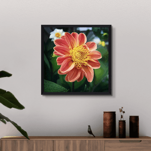 3D Photo Printing for Cyber Monday Sale Usa CanvasChamp