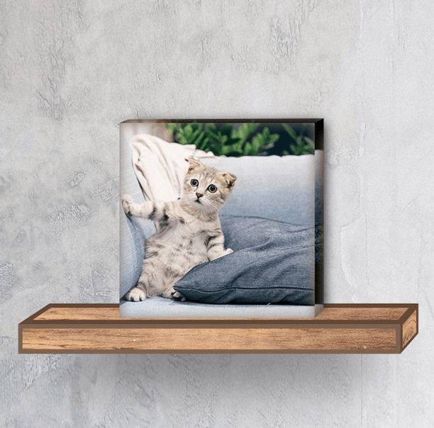 Pet Acrylic Photo Blocks