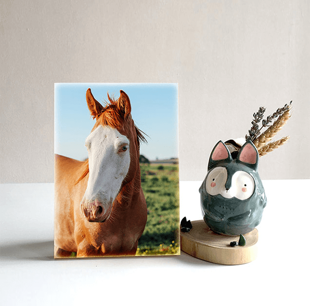 Design Custom Pet Acrylic Photo Blocks