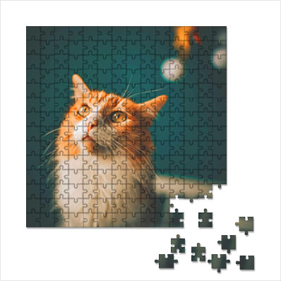 Photo puzzle 200 pieces