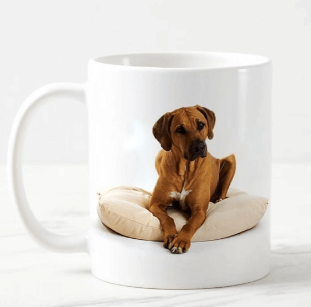 Pet Photo Mug Online