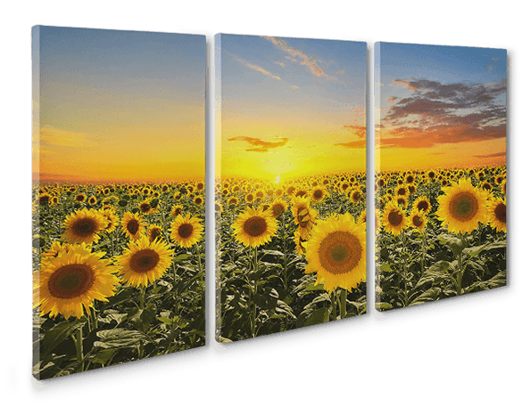 Split Canvas Panel Arts Split Canvas Panel Arts