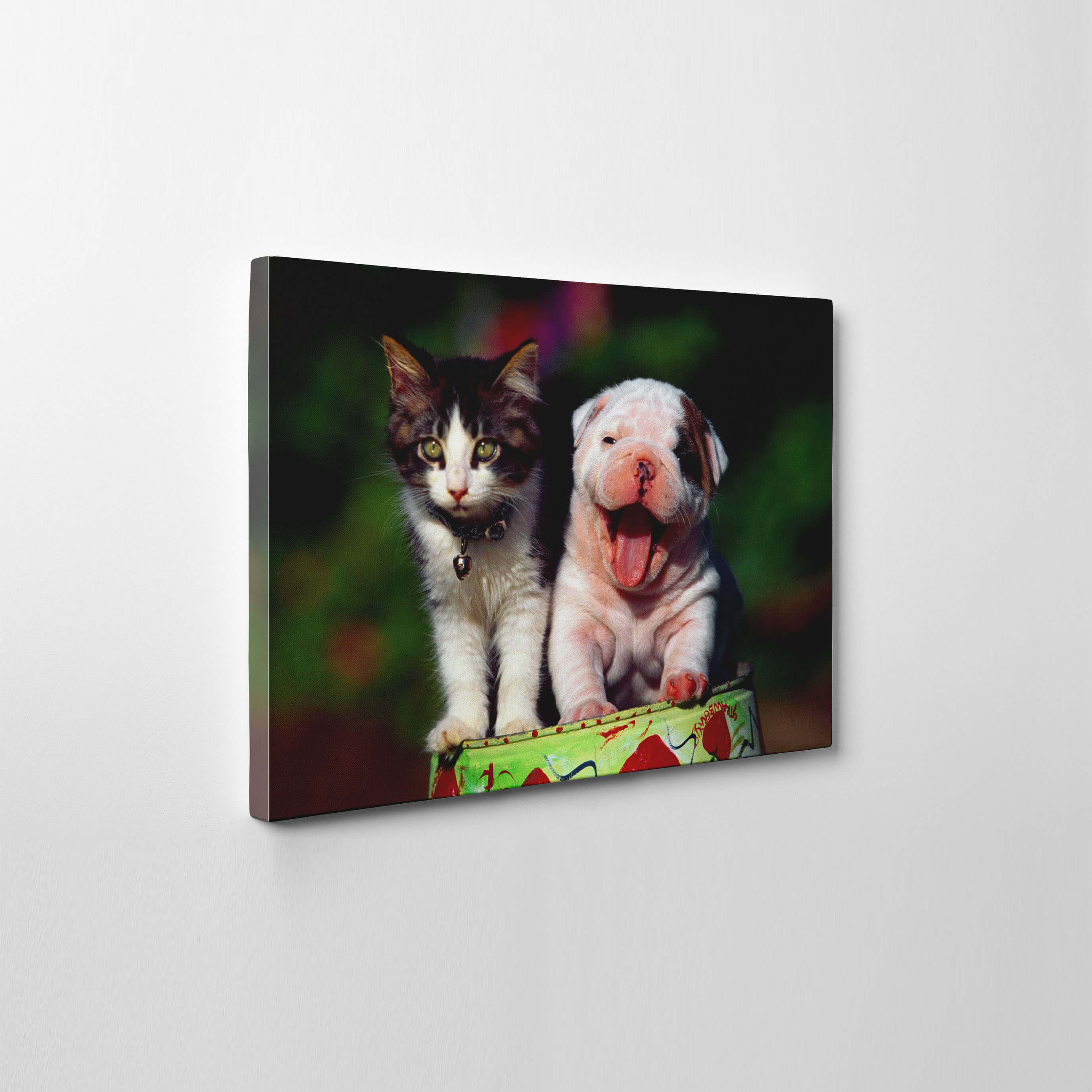 Pet Canvas Prints | Pet Photos on Canvas3