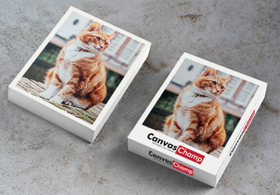 Types of Images Accepted For Custom Playing Cards Types of Images Accepted For Custom Playing Cards